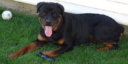 Axel, 9/2/07
