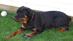 Axel, 9/2/07