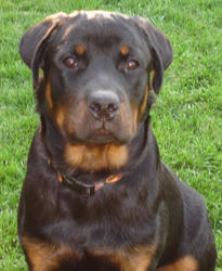 Axel 6/18/07, 6.5 months