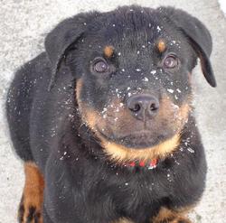 Oooh... snow!