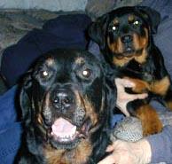 3/19/04 - with big brother Opie