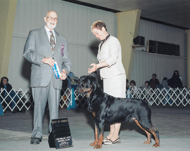 Precious Gems Axel vom Viersen Winners Dog & Best of Winners - Belle-City Kennel Club, February 28, 2009