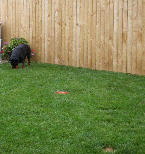 Axel picks up the Jolly Ball...