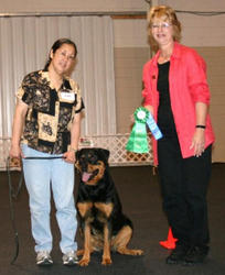 Freya's first Rally Obedience trial - 7/25/09