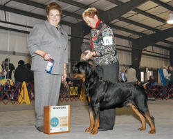 Precious Gems Axel vom Viersen - Winners Dog, Upper Marlboro Kennel Club, November 22, 2009