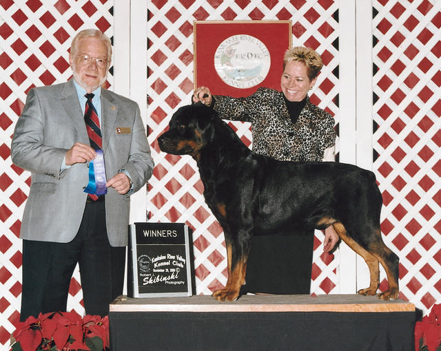 Precious Gems Axel vom Viersen - Winners Dog, Kankakee River Valley Kennel Club, November 29, 2009