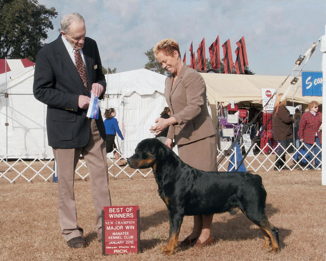 Precious Gems Axel vom Viersen - Winners Dog/Best of Winners, Manatee Kennel Club, January 14, 2010 - MAJOR WIN - NEW CH!